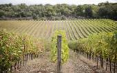 Туры в отель Borgo Scopeto Wine & Country Relais