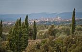 Туры в отель Borgo Scopeto Wine & Country Relais