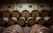 Туры в отель Borgo Scopeto Wine & Country Relais
