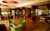Туры в отель Royal Ideal Beach Hotel