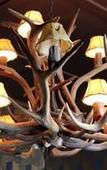 Туры в отель Shakespeare Hotel Surry Hills