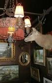 Туры в отель Shakespeare Hotel Surry Hills