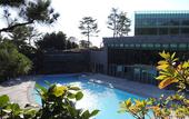 Туры в отель WE Hotel Jeju