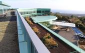 Туры в отель WE Hotel Jeju