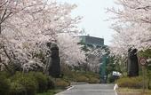 Туры в отель WE Hotel Jeju
