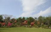 Туры в отель WE Hotel Jeju
