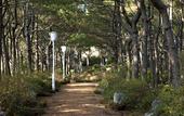 Туры в отель WE Hotel Jeju