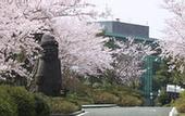 Туры в отель WE Hotel Jeju