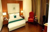 Туры в отель Sarovar Portico Jalandhar