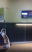 Туры в отель Kaloha Holiday Resort