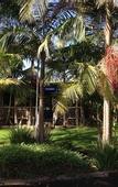 Туры в отель Kaloha Holiday Resort
