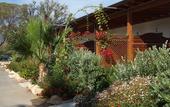 Туры в отель Hotel Rurale Orti di Nora & SPA