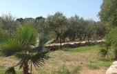 Туры в отель Hotel Rurale Orti di Nora & SPA