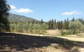 Туры в отель Hotel Rurale Orti di Nora & SPA