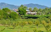 Туры в отель Hotel Rurale Orti di Nora & SPA