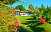 Туры в отель Hotel Rurale Orti di Nora & SPA