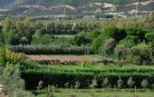 Туры в отель Hotel Rurale Orti di Nora & SPA