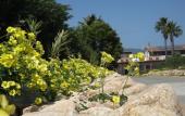 Туры в отель Hotel Rurale Orti di Nora & SPA