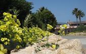Туры в отель Hotel Rurale Orti di Nora & SPA