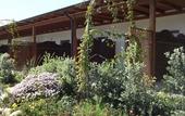 Туры в отель Hotel Rurale Orti di Nora & SPA