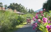 Туры в отель Hotel Rurale Orti di Nora & SPA