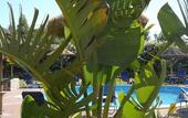 Туры в отель Hotel Rurale Orti di Nora & SPA
