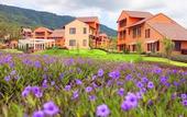 Туры в отель Toscana Valley Hotel La Casetta