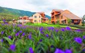 Туры в отель Toscana Valley Hotel La Casetta