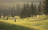 Туры в отель Toscana Valley Hotel La Casetta