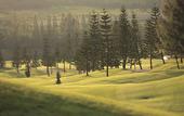 Туры в отель Toscana Valley Hotel La Casetta
