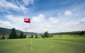 Туры в отель Town Square Suites by Toscana Valley