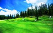 Туры в отель Town Square Suites by Toscana Valley