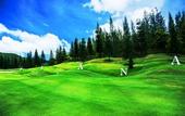 Туры в отель Town Square Suites by Toscana Valley