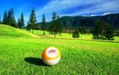 Туры в отель Town Square Suites by Toscana Valley