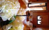 Туры в отель Town Square Suites by Toscana Valley