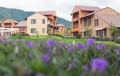 Туры в отель Town Square Suites by Toscana Valley