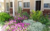 Туры в отель Hotel Pithari