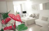 Туры в отель Academia Residence