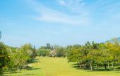 Туры в отель Cinta Sayang Resort