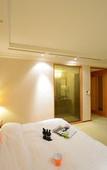 Туры в отель Onyang Hot Spring Hotel