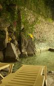 Туры в отель Onyang Hot Spring Hotel