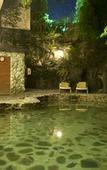Туры в отель Onyang Hot Spring Hotel