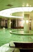 Туры в отель Onyang Hot Spring Hotel
