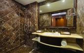 Туры в отель Ramada Plaza by Wyndham Chandigarh Zirakpur