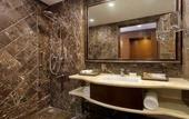 Туры в отель Ramada Plaza by Wyndham Chandigarh Zirakpur