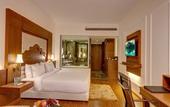 Туры в отель Ramada Plaza by Wyndham Chandigarh Zirakpur