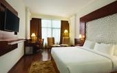 Туры в отель Ramada Plaza by Wyndham Chandigarh Zirakpur