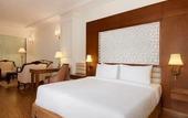 Туры в отель Ramada Plaza by Wyndham Chandigarh Zirakpur
