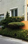 Туры в отель Hostel Maro