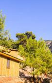 Туры в отель Tree Houses